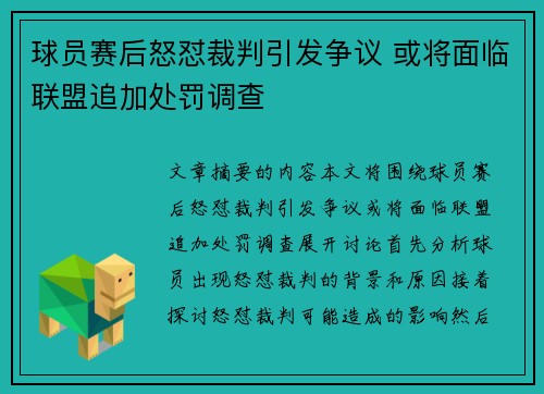 球员赛后怒怼裁判引发争议 或将面临联盟追加处罚调查
